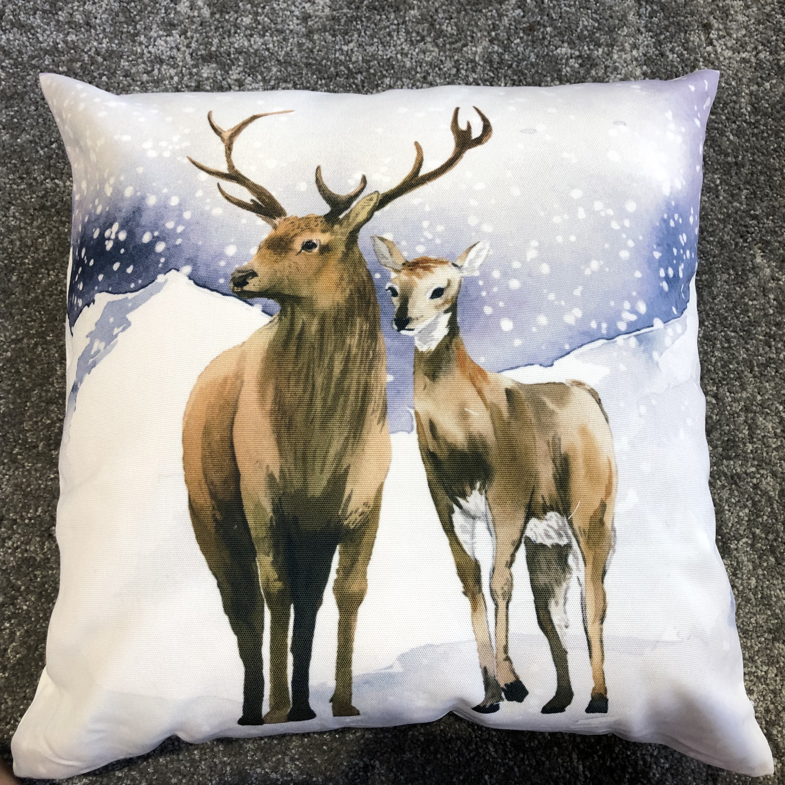 Gối trang trí ART12